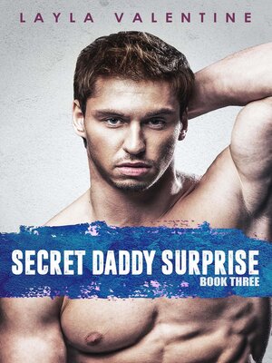 cover image of Secret Daddy Surprise, Book 3